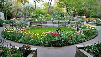 West Side Community Garden, New York, New York