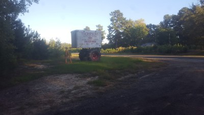 Thompsons Auto Recycling