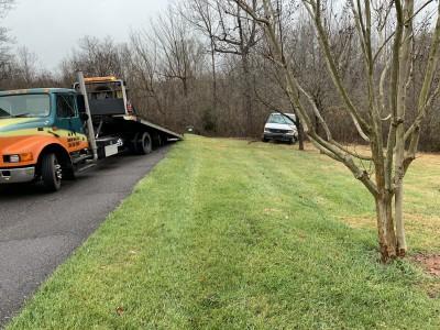 Running bear towing and collision