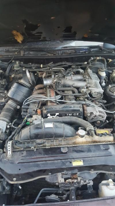 Automotive Specialists