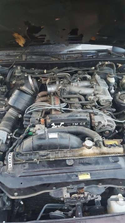 Automotive Specialists