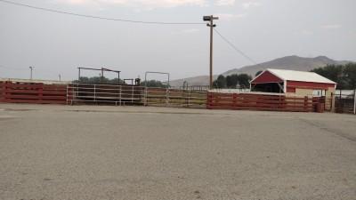 Producers Livestock Marketing