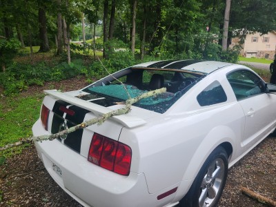 Auto Collision Experts, LLC