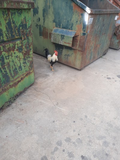 Route 655 Recycling Center