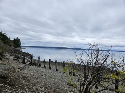 Sequalitchew Creek Trail Head