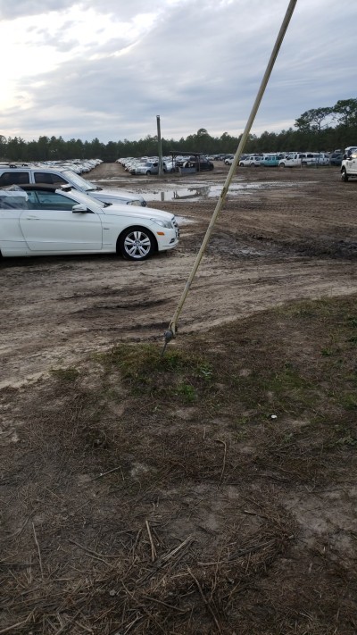 Insurance Auto Auction