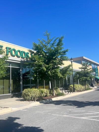 Whole Foods Market