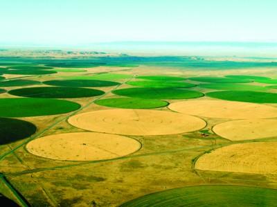 Navajo Agricultural Products Industry, NAPI