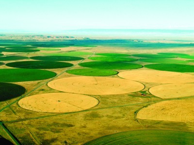 Navajo Agricultural Products Industry, NAPI