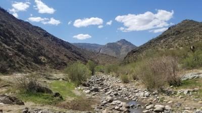 Turkey Creek, San Agustin, Arizona
