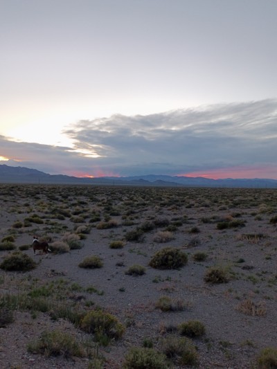 Silver Peak Lithium Mine