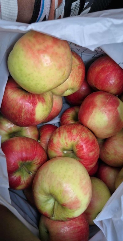 Twin Orchards Farm Stand
