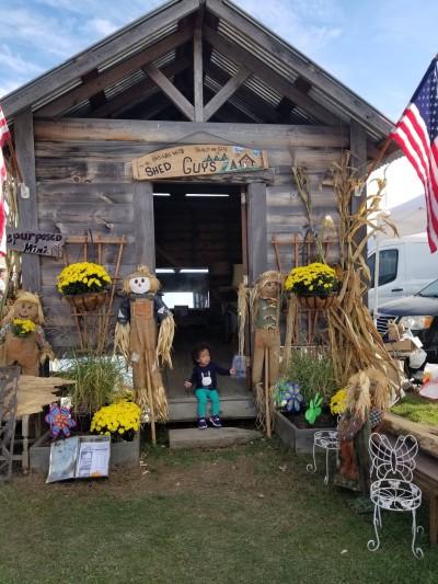 Stormville Airport Antique Show and Flea Market