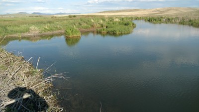 Milford Colony