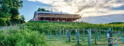 The Vineyard & Brewery at Hershey, Middletown, Pennsylvania