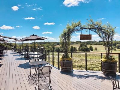 Grandview Vineyard