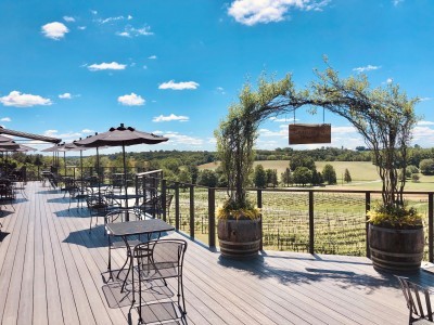 Grandview Vineyard
