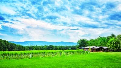Mount Nittany Vineyard and Winery