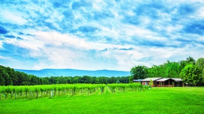 Mount Nittany Vineyard and Winery