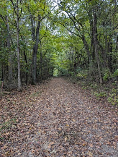 Bone Cave State Natural Area