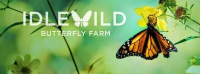 Idlewild Butterfly Farm, Louisville, Kentucky