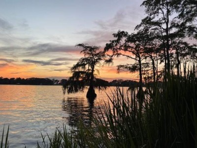 Lake Bruin