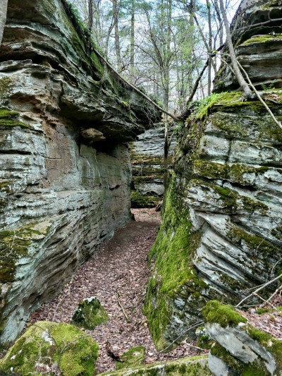Rock City State Forest