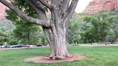 Zion National Park Lodge