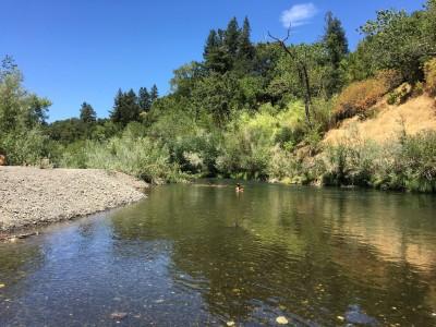 Del Rio Woods Regional Park, Healdsburg, California
