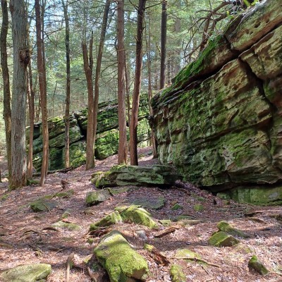 Bilger's Rocks Association