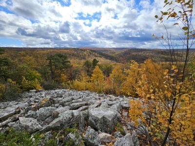 Buzzard's Rock