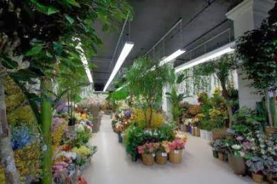 Center of Floral Design, New York, New York