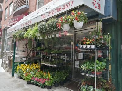 G & J Florist, New York, New York