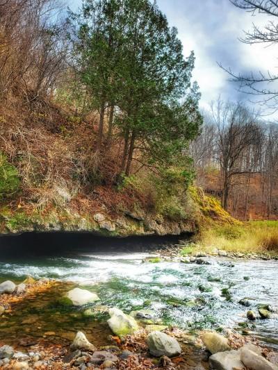 Nine Mile Creek Fishing Access At MARCELLUS FALLS