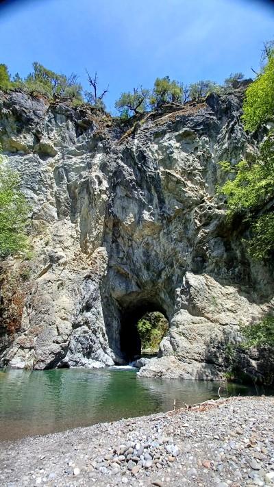 Tan Oak Park, Laytonville, California