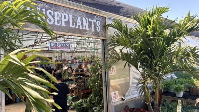 Groovy Plants Ranch