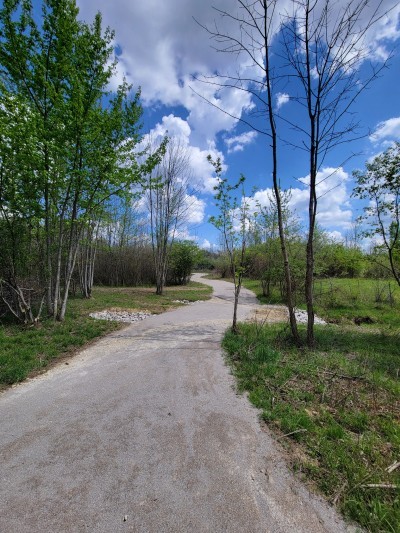 Chippewa Lake Park