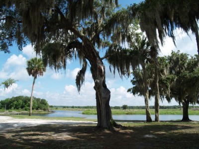 Mullet Lake Park