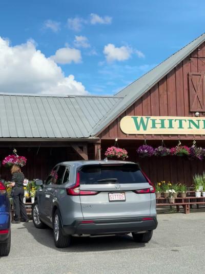 Whitney's Farm Market & Garden Center, Cheshire, Massachusetts