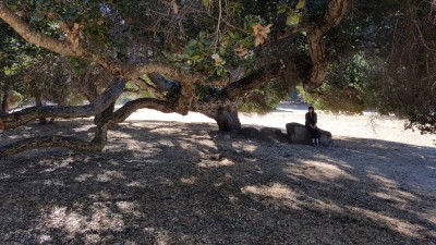 Robles del Rio Old Parking Lot