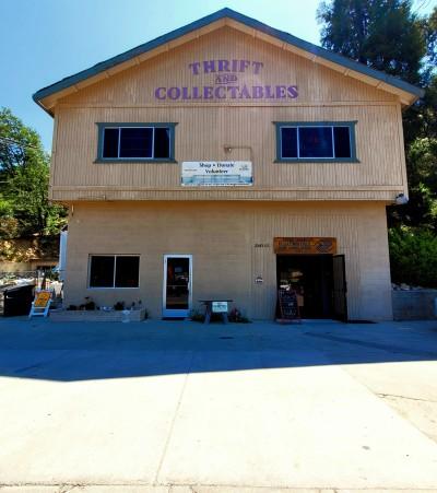 Cedar Glen Thrift-Collectibles, Cedar Glen, California