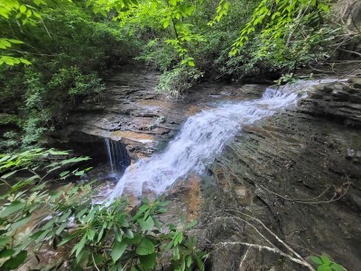Turkey Creek Falls