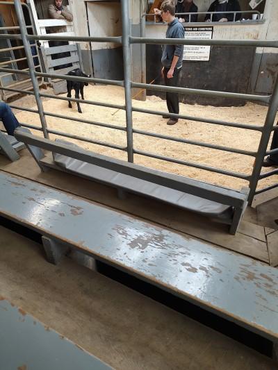 Farmerstown Livestock Auction, Baltic, Ohio
