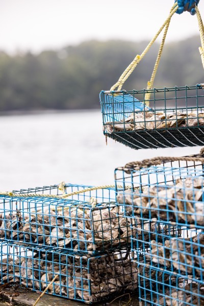 Mere Point Oyster Company