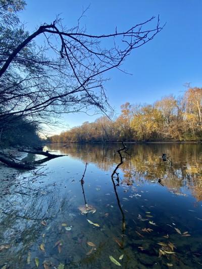 Tar River, Tuscarora Beach, North Carolina