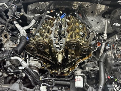 Wolf Den Auto