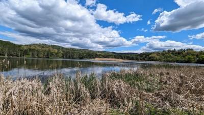 Dewey’s Landing