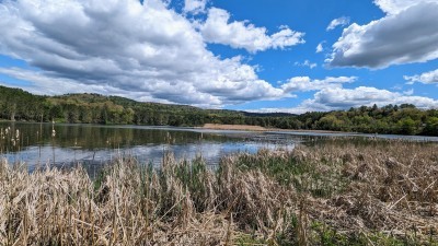 Dewey’s Landing