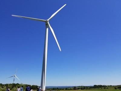 Fenner Wind Farm