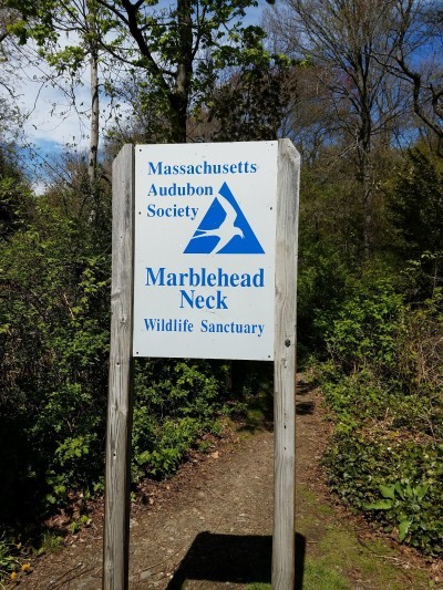 Marblehead Neck Wildlife Sanctuary